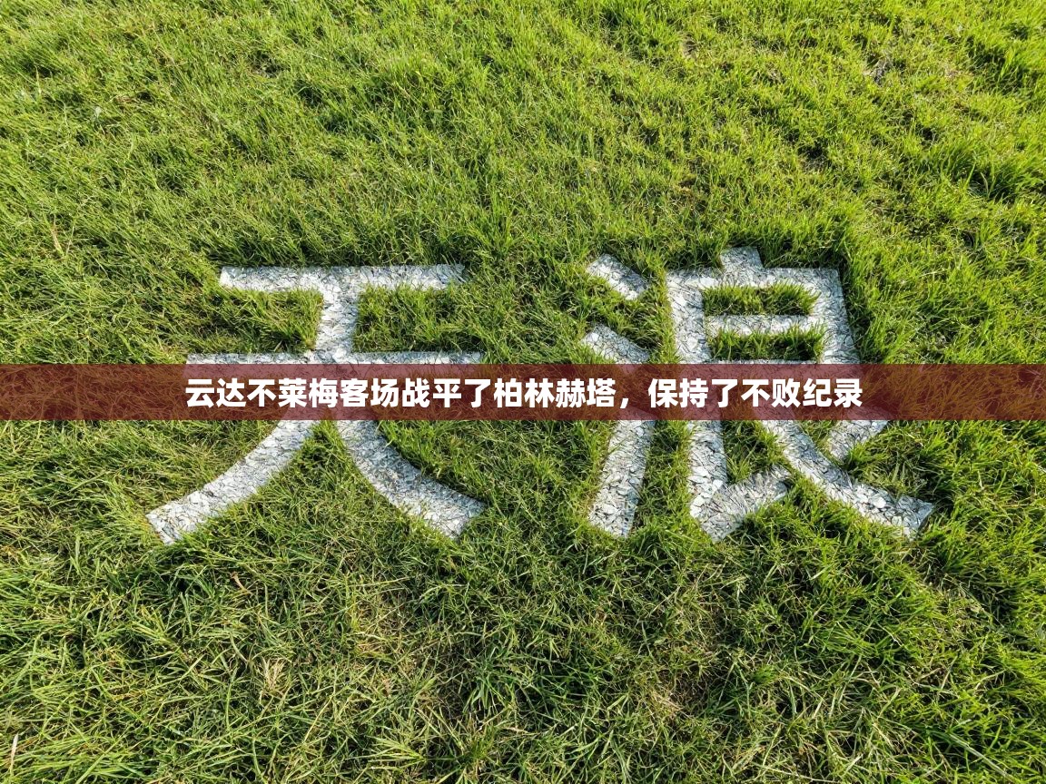 云达不莱梅客场战平了柏林赫塔,保持了不败纪录 第2张