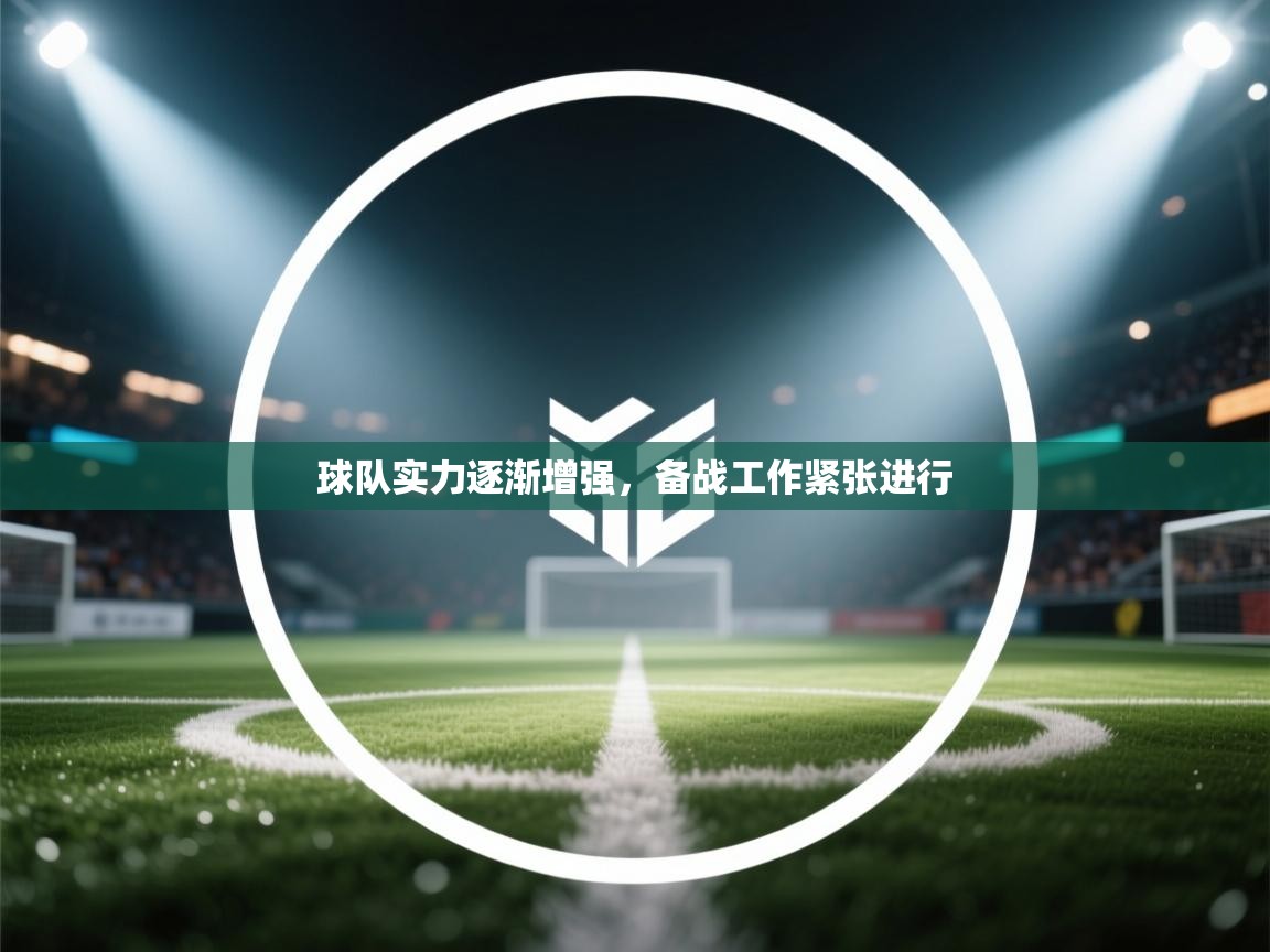 球队实力逐渐增强，备战工作紧张进行  第1张